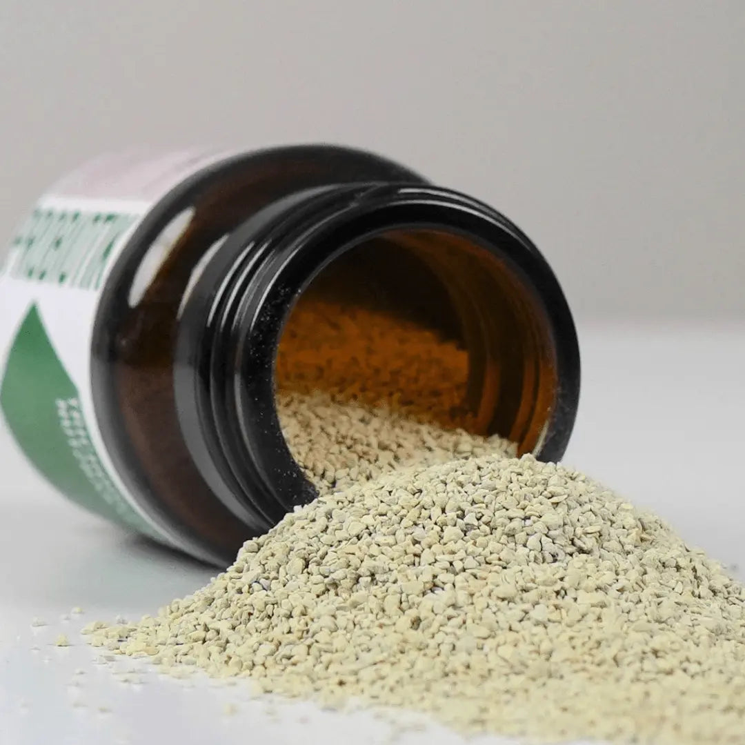 PROBIOTIK - Trichoderma-Pilze und Nutzbakterien für starke Pflanzen