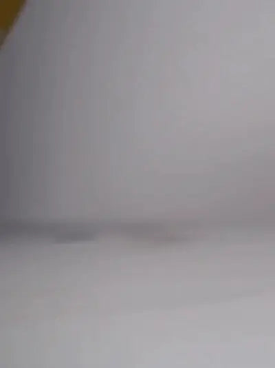 Eine gelbe FLO Dünger-Verpackung von Florganics - organischer Dünger, der aus der Verpackung auf die Oberfläche rieselt, sodass man den Inhalt der Verpackung sehen kann.