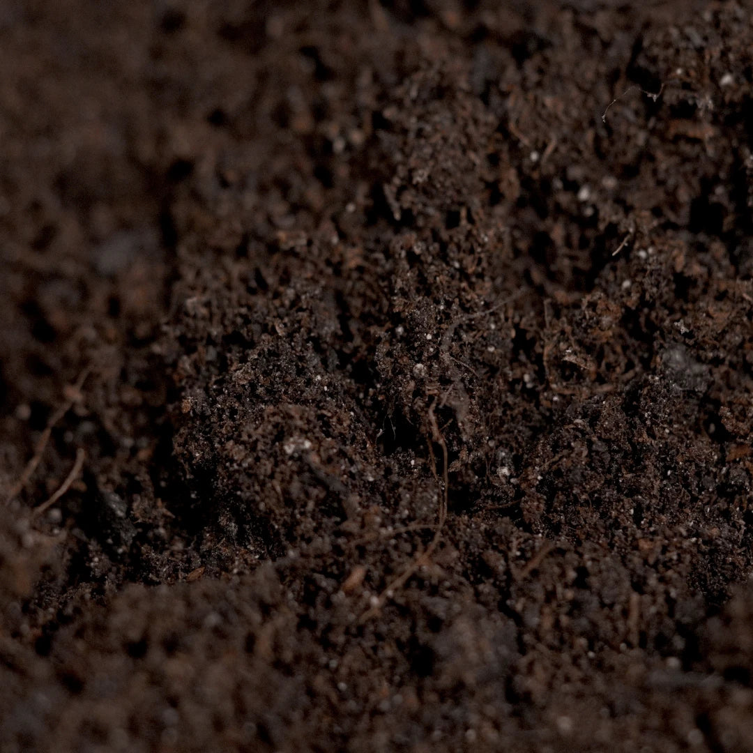 Dope Soil Living Soil Substrat von Florganics